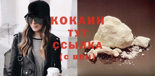 дживик Белокуриха