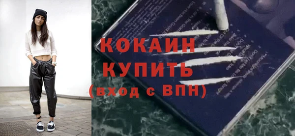 дживик Белокуриха