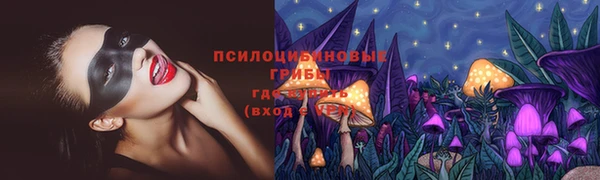a pvp Богородск