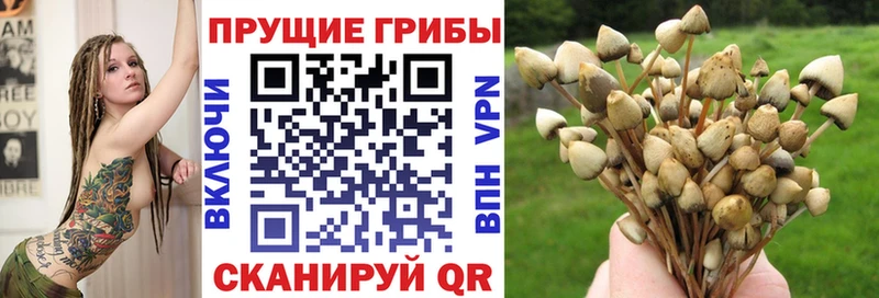 даркнет сайт  Бологое  Псилоцибиновые грибы Psilocybine cubensis 